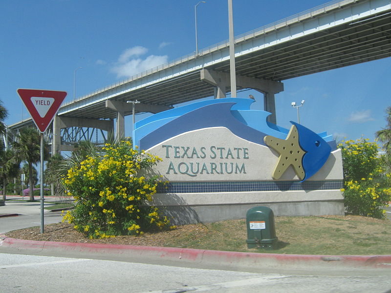 Texas State Aquarium